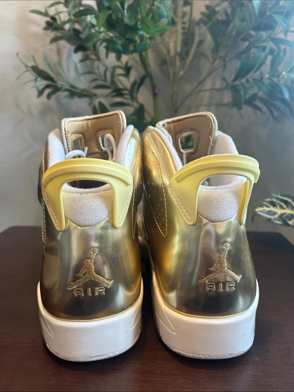 Air Jordan 6 Retro Pinnacle 